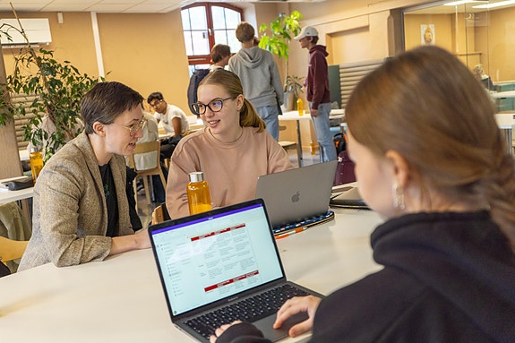 Bilde 1 av 4 i jobbannonse-galleriet