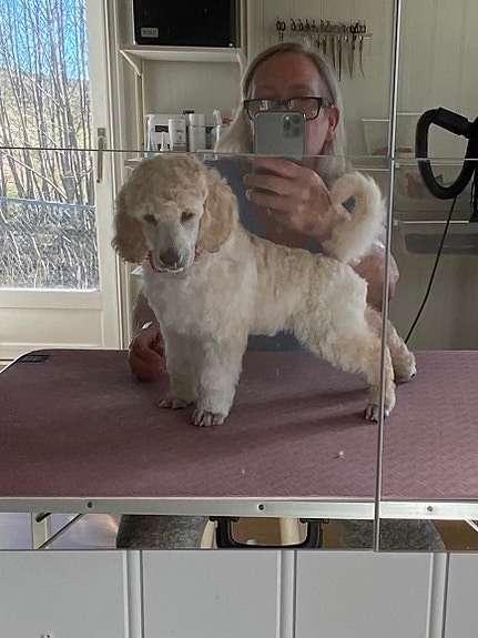 Product image 8 of 10