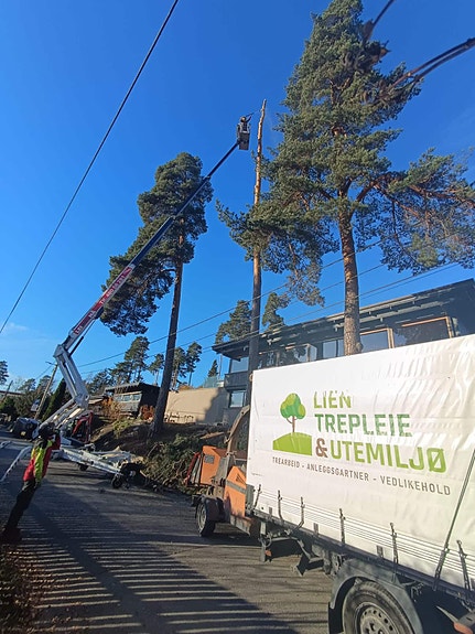 Bilde 3 av 4 i jobbannonse-galleriet