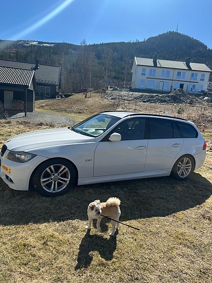 BMW 318i 5 of 14