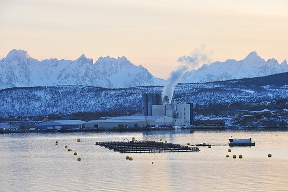 Stokmarknes