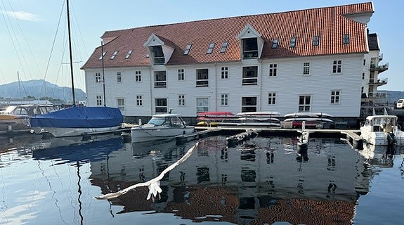 Bilde 1 av 2 i jobbannonse-galleriet