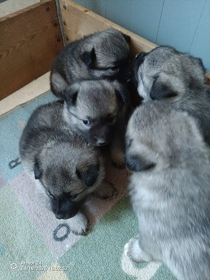 Product image 4 of 7