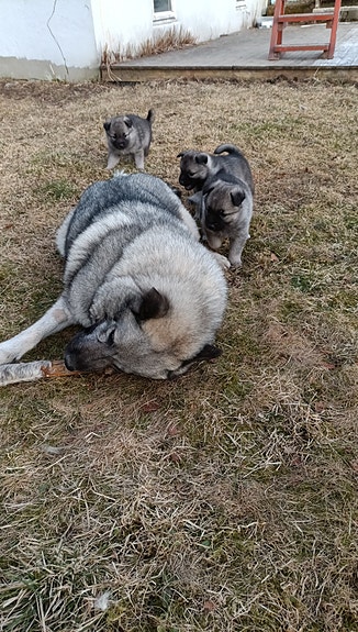 Product image 3 of 7