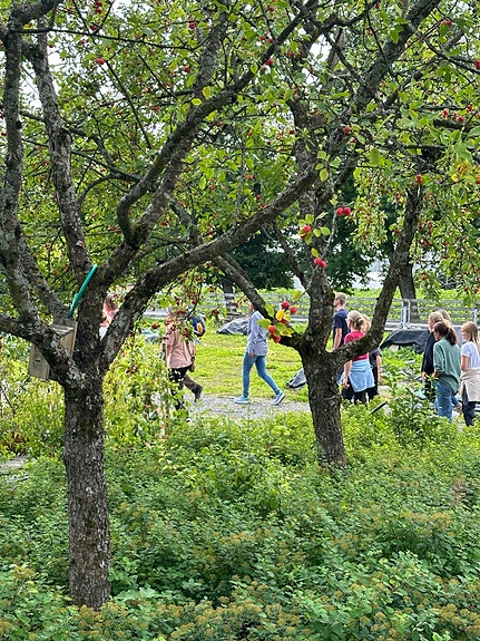 Vea har 330 studenter og elever. Foto Grethe Bøhn Busterud