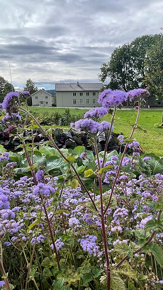 Uteområdet på Vea er et flott undervisningsareale. Foto Grethe Bøhn Busterud