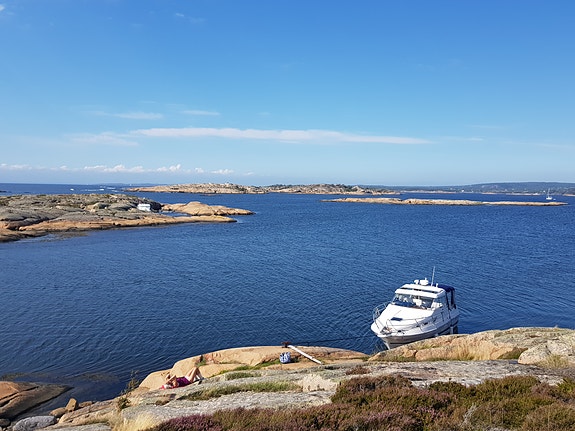 Marex Suncruiser 290 HT selges 3 of 5
