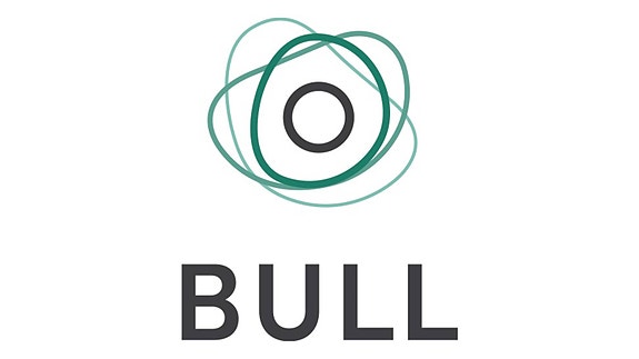 Bull logo