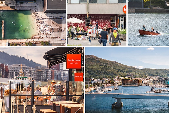 Bilde 5 av 5 i jobbannonse-galleriet