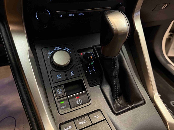 Lexus NX300h 19 of 30