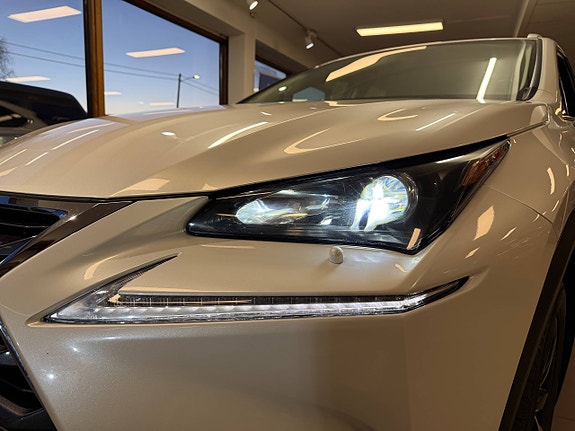 Lexus NX300h 4 of 30