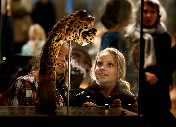 Bilde 1 av 2 i jobbannonse-galleriet