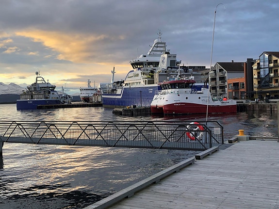 Bilde 5 av 8 i jobbannonse-galleriet
