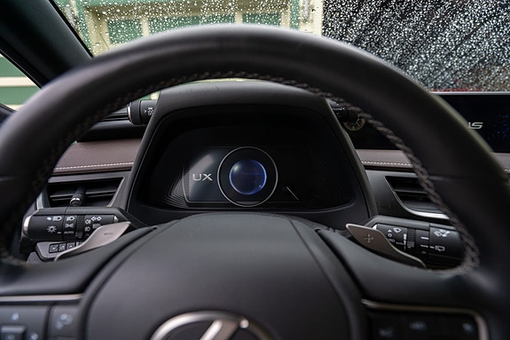 Lexus UX300e 22 of 30