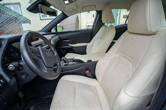Lexus UX300e 19 of 30