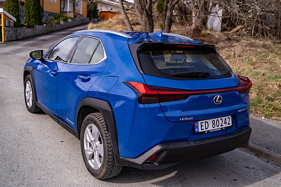 Lexus UX300e 6 of 30