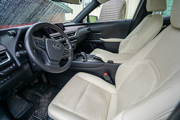Lexus UX300e 16 of 30