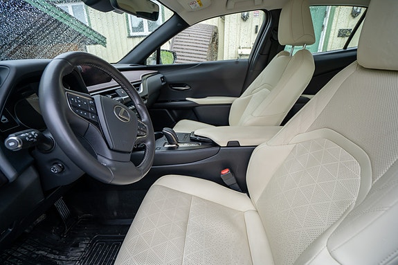 Lexus UX300e 18 of 30