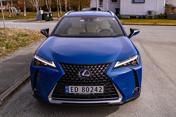 Lexus UX300e 2 of 30