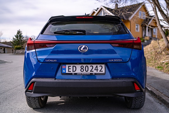 Lexus UX300e 9 of 30