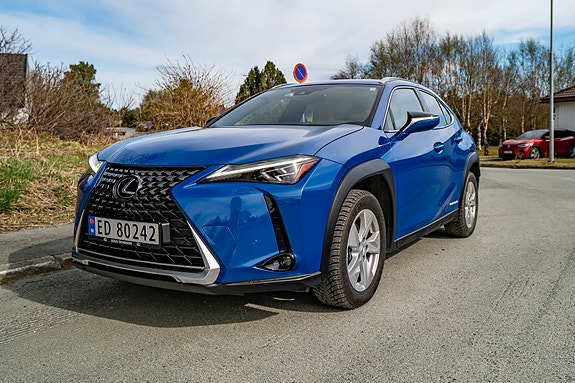 Lexus UX300e 3 of 30