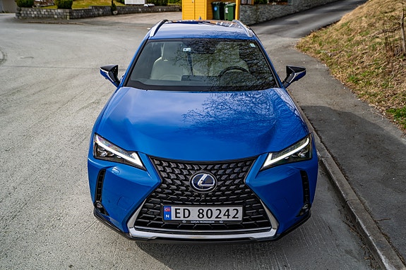 Lexus UX300e 14 of 30