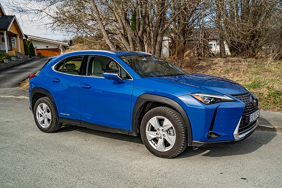Lexus UX300e 12 of 30