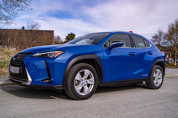Lexus UX300e 4 of 30