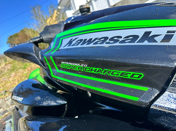 Kawasaki 310 LX 6 of 18