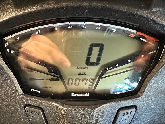 Kawasaki 310 LX 17 of 18