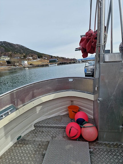 Grimsøy 3 of 5