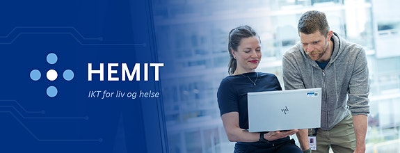 Hemit, Prosjekt og digitalisering logo