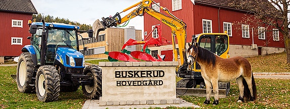 Buskerud fylkeskommune, Buskerud videregående skole logo