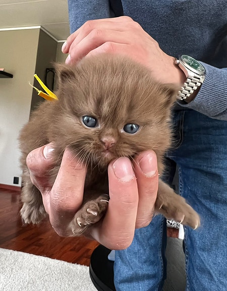 Product image 2 of 7