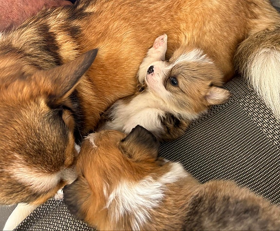 Product image 6 of 10