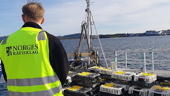 Norges Råfisklag logo