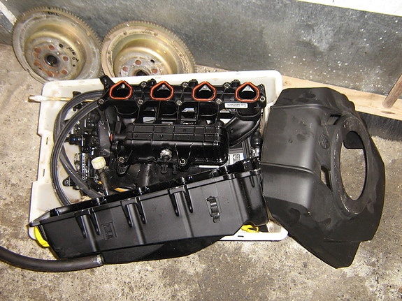 mercury f80 2024 hugges. 12 of 13
