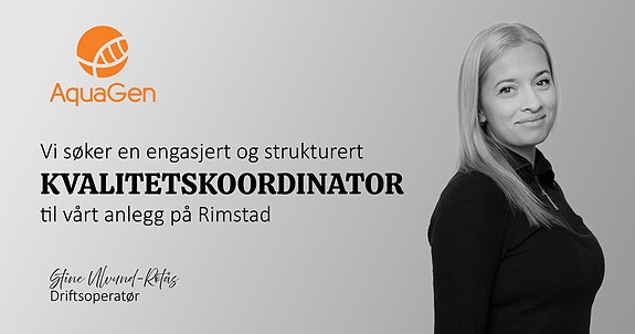 Bilde 1 av 1 i jobbannonse-galleriet
