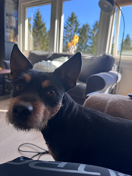 Product image 5 of 10