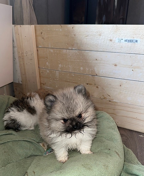 Product image 6 of 8