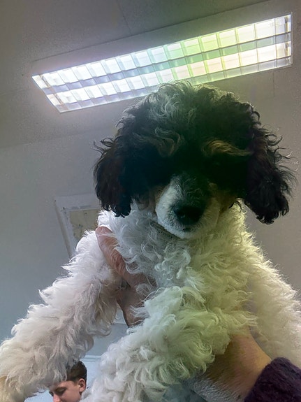 Product image 9 of 9