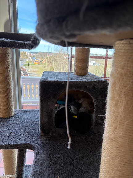 Product image 8 of 9