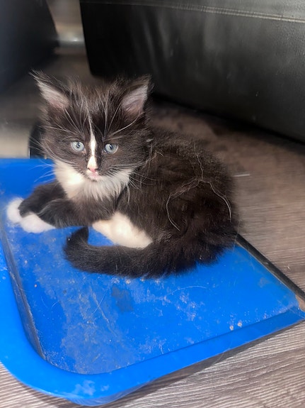 Product image 6 of 10