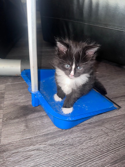 Product image 7 of 10