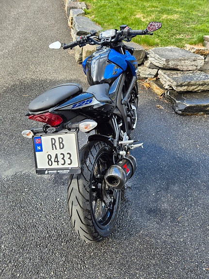 Suzuki GSX-S 125 7 of 7