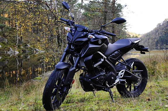 Yamaha MT-125 8 of 8