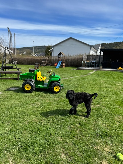 Product image 9 of 10