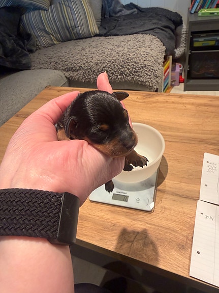 Product image 5 of 10