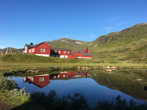 Bilde fra arbeidsgiver
