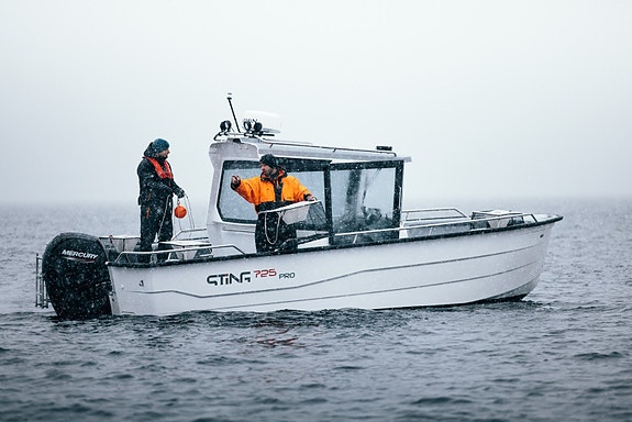 Sting 725 Pro Cabin XL Pro+ pakke powered by Mercury F 150 EFI - Innbytte/Finans